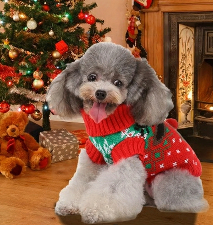 ScreenShot_2026-01-15_160510_568